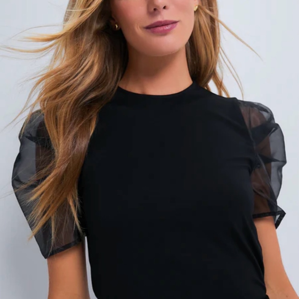 Black Fitted Sheer Puff Tulle Sleeve Darby Blouse Small